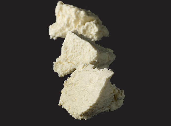 ricotta