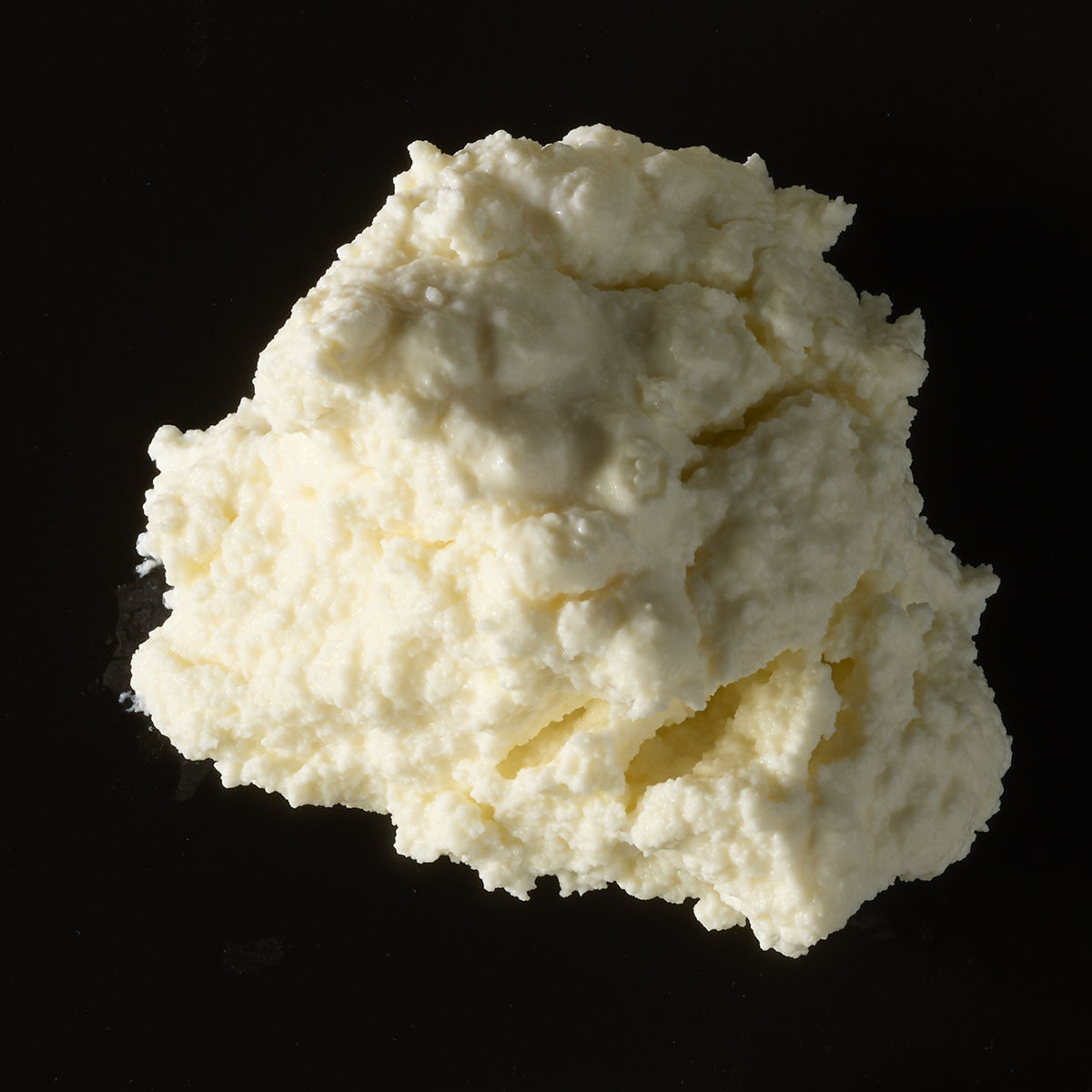 ricotta